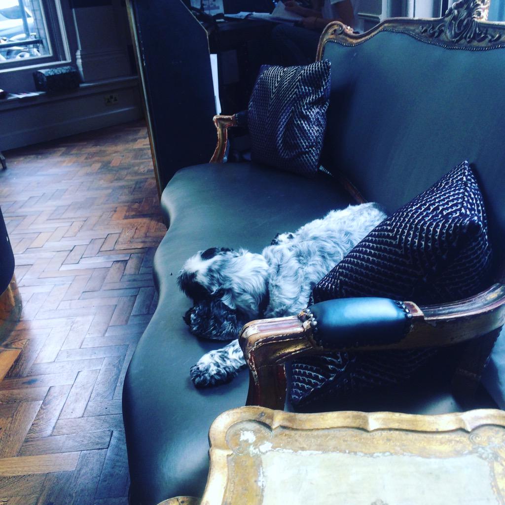 rocing's tweet image. Todd after a work days work in the salon entertaining client oh and being cute, it's a hard life #hardwork #cutiepie