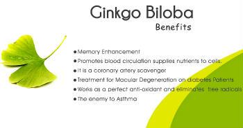 myHClub's tweet image. Improve Your Memory With Ginkgo Biloba! buff.ly/1K2BMtr

#MentalFunction #Dementia #Diabetes #Schizophrenia
