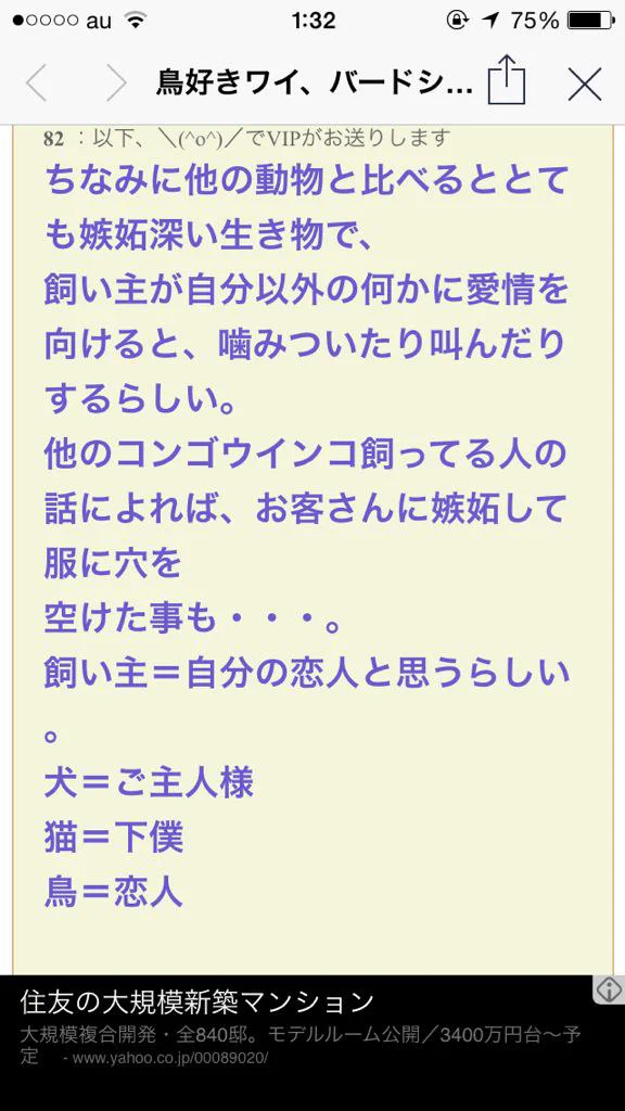 飼い主の認識は、犬=ご主人様　猫=下僕　鳥=恋人らしい♥