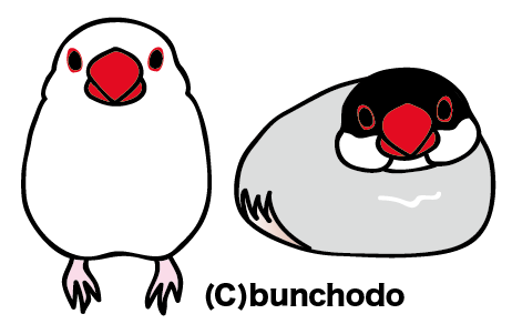 文鳥堂のおしらせ على تويتر 16年文鳥さんカレンダー 予約特典シールのイラストができました 桜か白どちらかの封入になります ご予約は締め切りました Http T Co Wo9g4fxqux 文鳥堂のおしらせ على تويتر 16年文鳥さんカレンダー 予約特典シールのイラストができました 桜か白どちらかの封入になります ご予約は締め切りました Http T Co Wo9g4fxqux