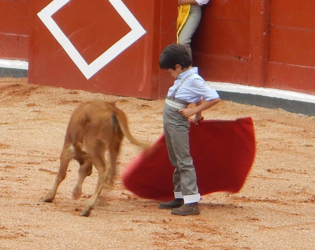 #silosniñosenlostoros @777jis <a href="/carruseltaurino/">carrusel taurino</a> <a href="/acirfiestabrava/">Fiesta Brava ®(ACIR)</a>