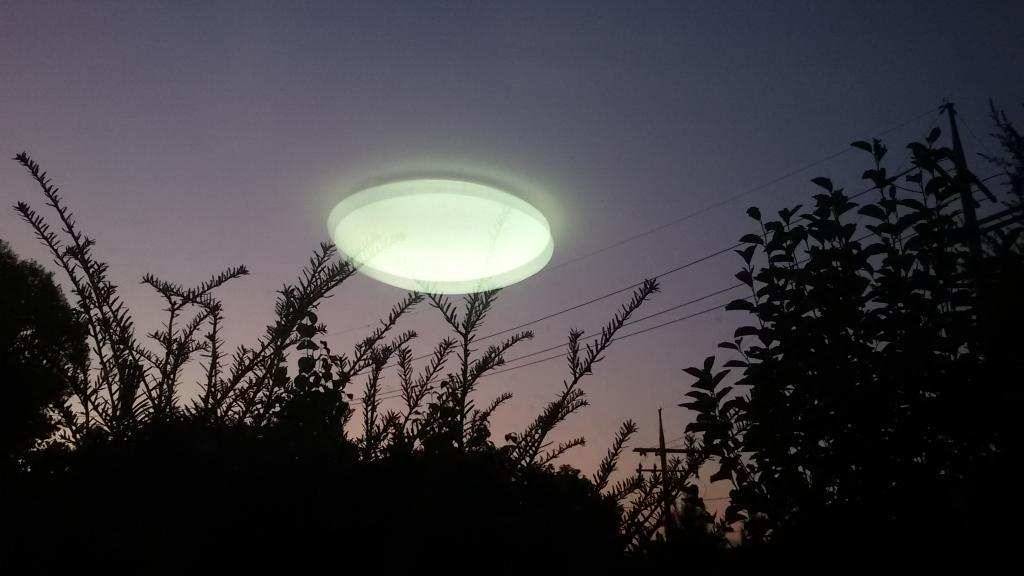 달이 방안으로 들어왔다