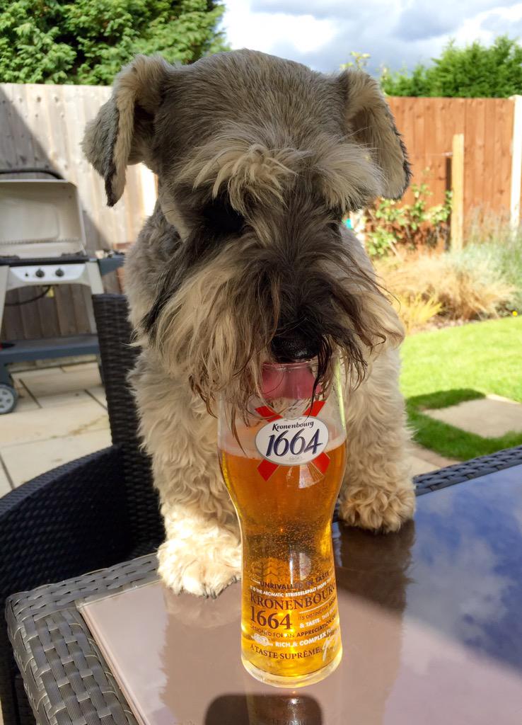 minialfiew's tweet photo. Mmmmm.... Beer! http://t.co/rlYZXrLVH6