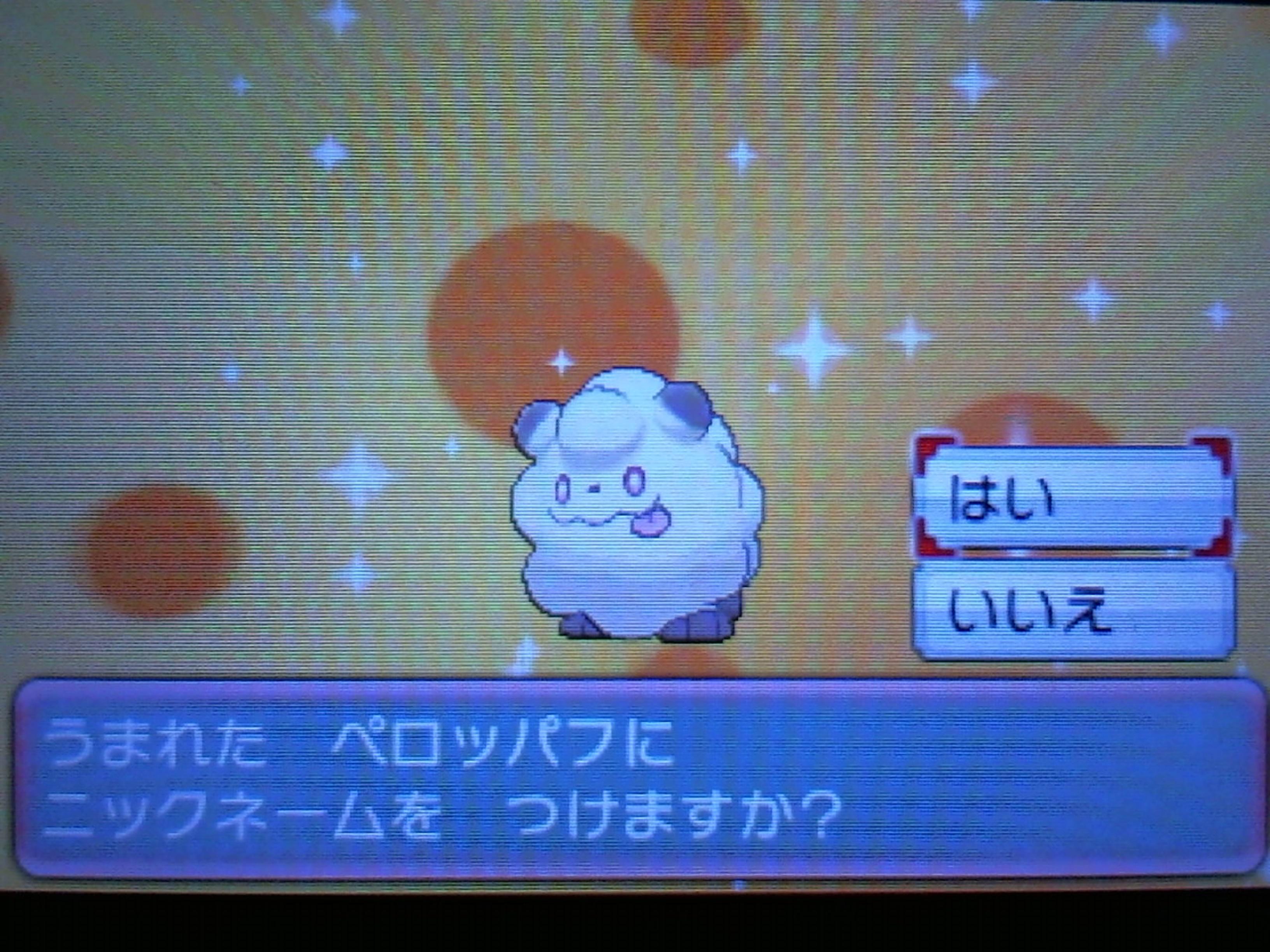 ハチ公 Hachikou2525 Twitter