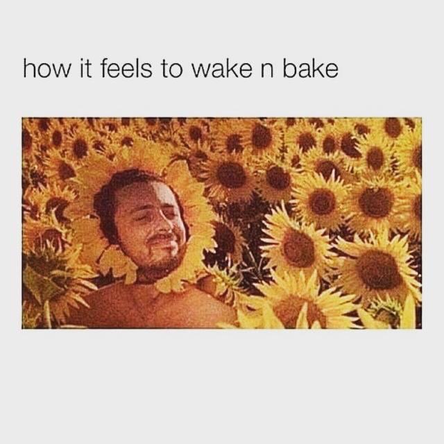 samduran28's tweet photo. #mood http://t.co/nYG2mntDbH