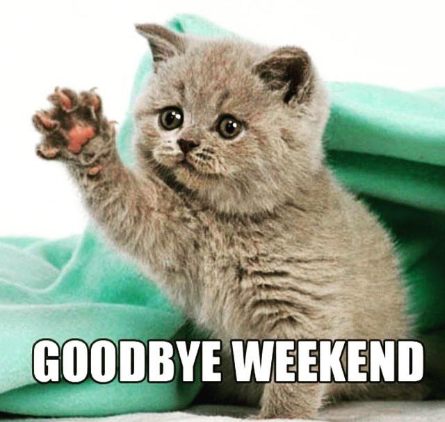 Besok Senin... Goodbye weekend :'(
