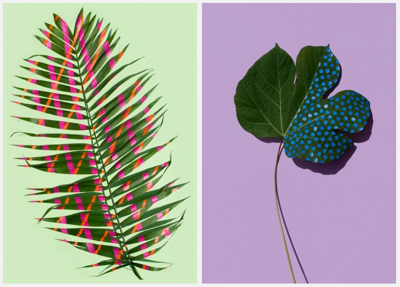 New blogpost: Wonderplants by Sarah Illenberger. #puurconfituur #colour #pattern #artprint puurconfituur.be/blog/detail/wo…
