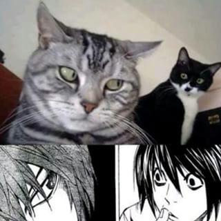 beyonddeathnote's tweet image. 