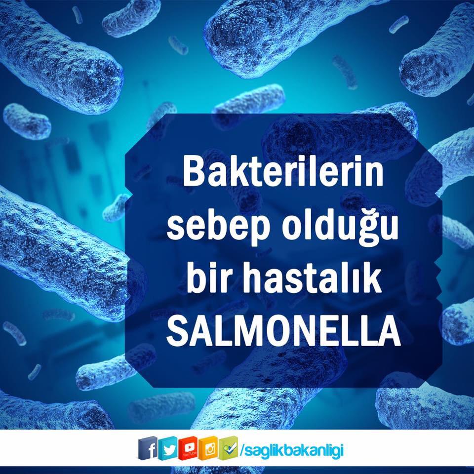 Bakterilerin pişmemiş çiğ et, tavuk ve yumurtada bulunma olasılığı vardır. Normal pişirme ile bakteri etkisizleşir