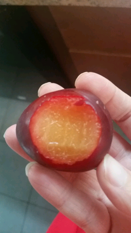 AshiraSimcha's tweet photo. Plum #2 https://t.co/kbsbyDeR30 @pactapp http://t.co/pQFME57pn4