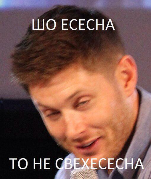 Он все же есть естественно. Зеленый слоник будьте людьми. Он все же есть естественно. Брат 2 румын болгарин. Ну какова красота картинка.