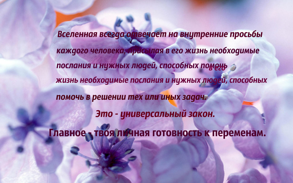 ElenaMartin2014's tweet photo. http://t.co/FuEdN9rCKC