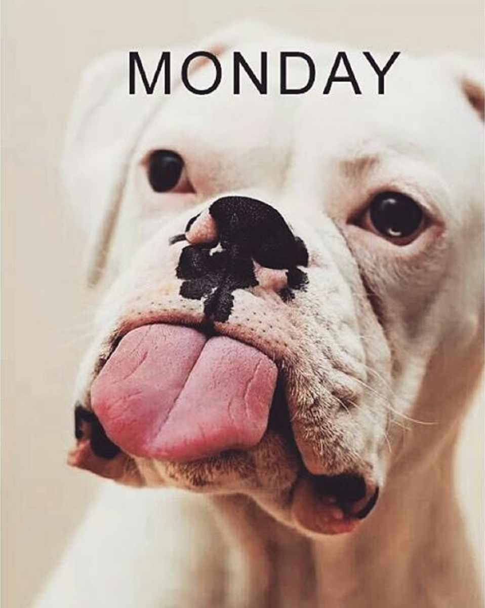BuyFresco's tweet photo. Esto es todo lo que tenemos que decir ;) #Lunes #FelizLunes #GenteFresca #VidaFresca http://t.co/3q7HRkqHyl
