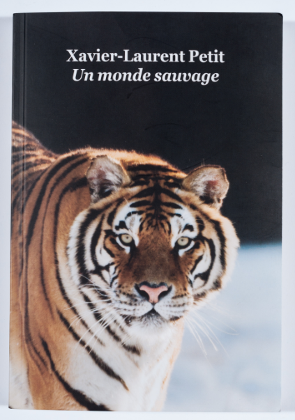 JDMOfficiel's tweet photo. #GPL2015 Nos deux jurés Nolan et Matthieu ont adoré "Un monde sauvage" de Xavier-Laurent Petit @ecoledesloisirs http://t.co/9e3J6TsXlJ