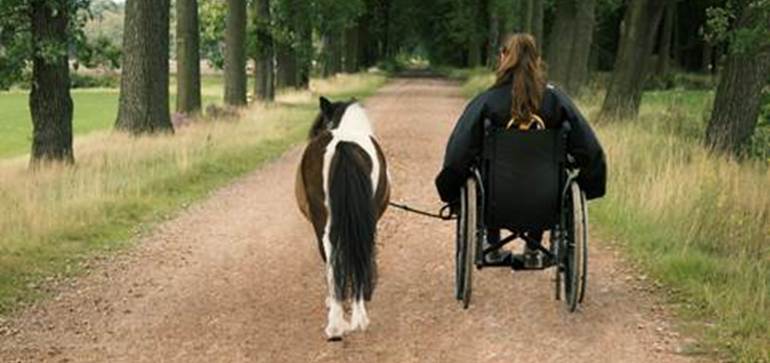 Provincie Antwerpen investeert samen met Europa en Vlaanderen 1.200.000 euro in #platteland! bit.ly/1O4yNHj