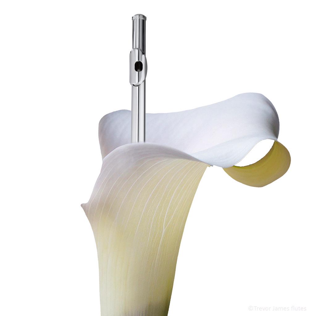 <a href="/flute/">Jean-Paul Wright</a>: messing around with some potential 2016 flute visuals this morning #flute