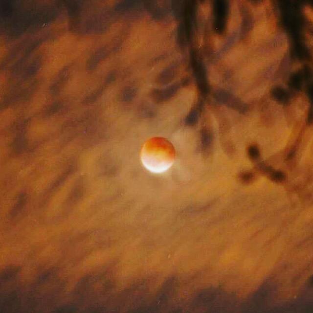 Tibetans believe karma is multiplied by 10,000 on a full moon. Carry out acts of generosity this Monday. #bloodmoon