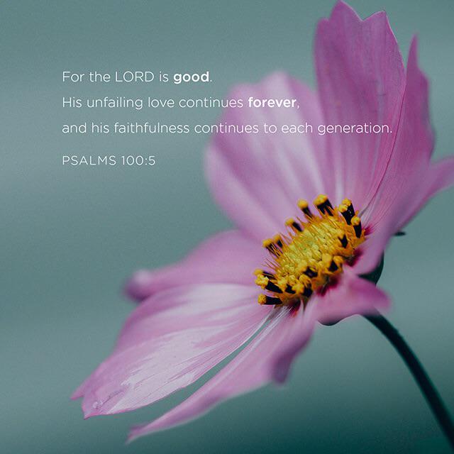 bljayonbfs's tweet photo. #livingagodlylife &amp; #makingheaven http://t.co/9wd5o78eqV http://t.co/ewV0gc4fCo