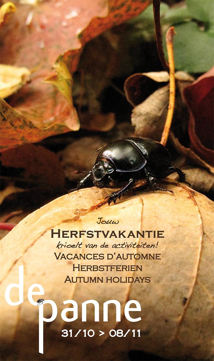 De herfstfolder is in aantocht. Je kunt hem gratis verkrijgen aan onze balie vanaf eind deze week.