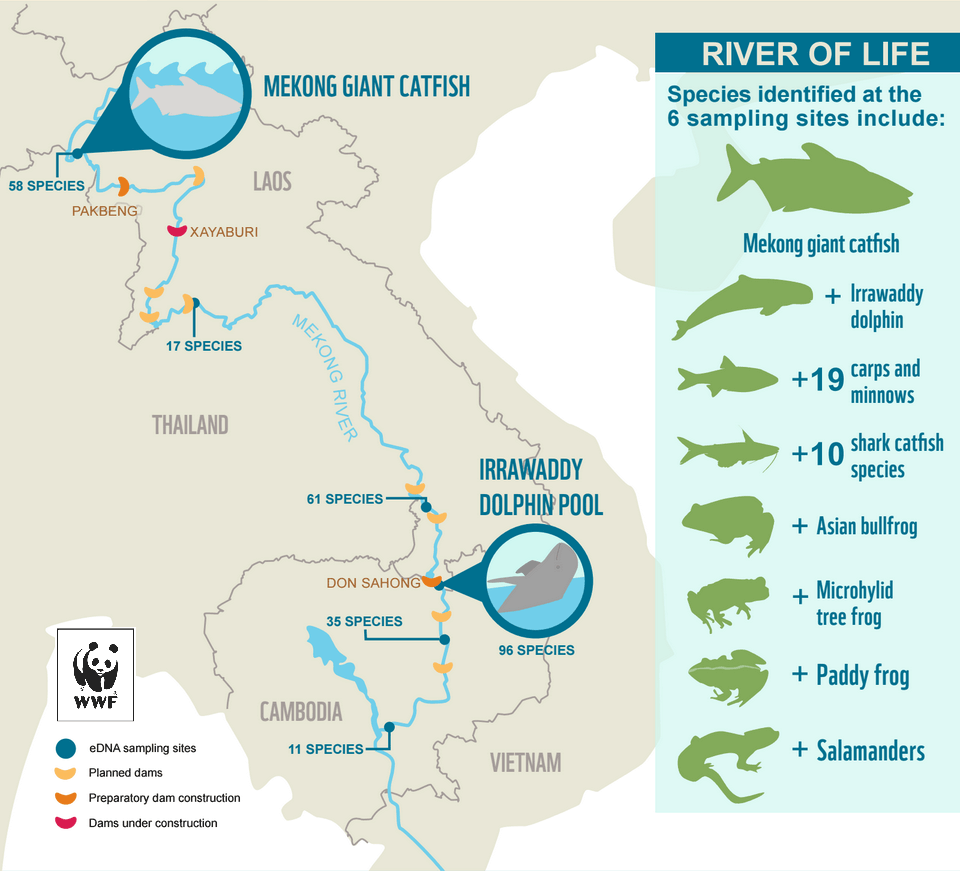 WWF's tweet photo. eDNA tells the story of life. Every species leaves traces of its presence: http://t.co/CJueZ57ZMU #riversday15 http://t.co/I8QY1KIUjS