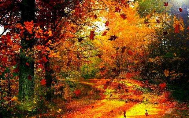 RT als jij ook van de herfst houdt! Fijn weekend!