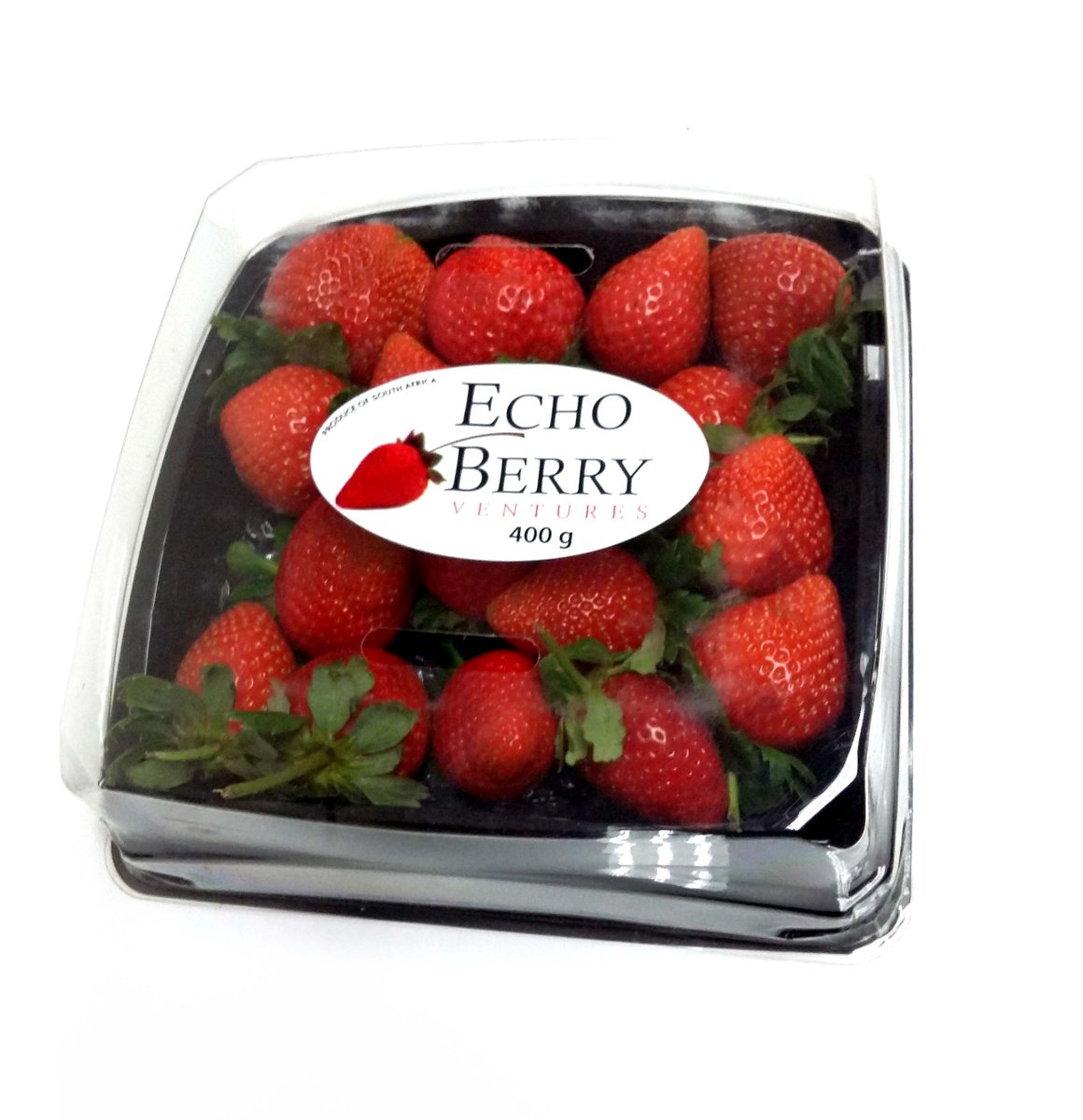 Evergreensza's tweet photo. Strawberries are not really berries at all. They are the enlarged receptacle of a flower #fruit #foodie http://t.co/AkoW3FETF0