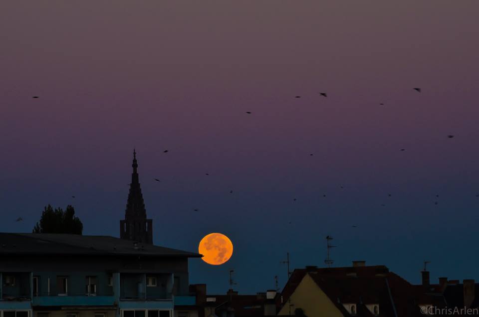 strasbourg's tweet photo. Bon réveil #Strasbourg ! On commence la semaine par l'éclipse de lune 🌙 c'était ce matin très tôt! Merci ©ChrisArlen http://t.co/42S00W6LwF