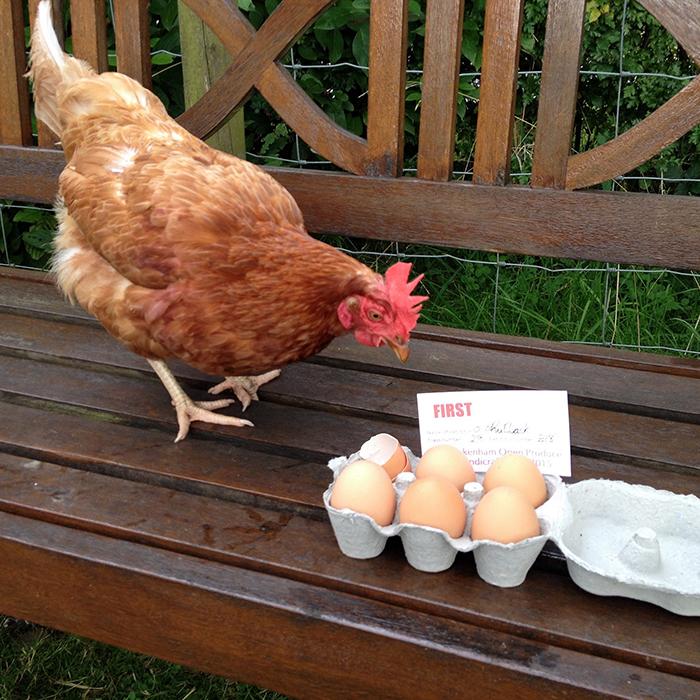 BHWTOfficial's tweet photo. Today it's all about laying first prize eggs! http://t.co/5M7pwkO1K4