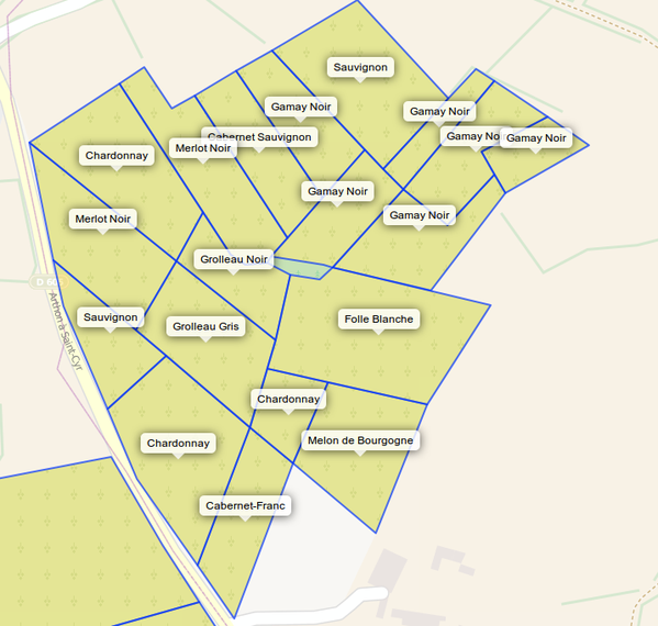 OpenWines.eu tweet media