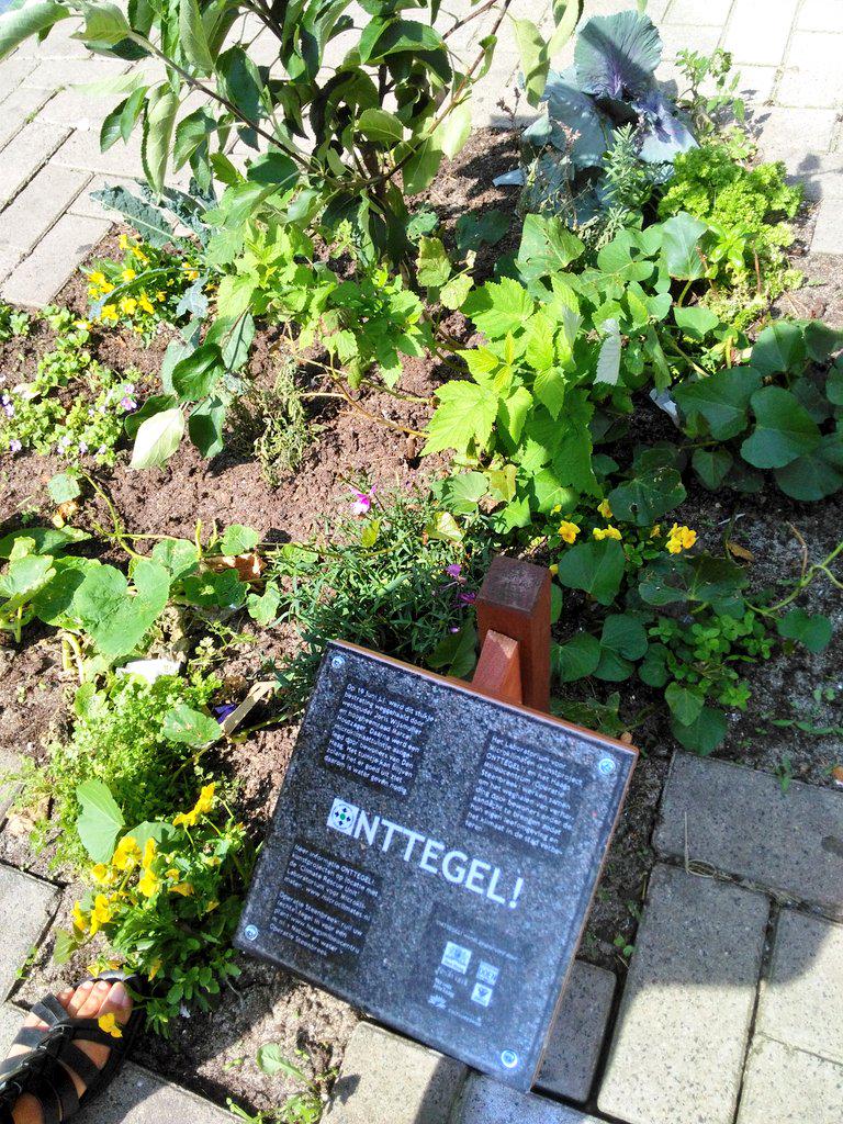"Onttegel"- weghalen van bestrating &amp; asfalt en vervangen door planten: mooi initiatief van <a href="/Fonds1818/">Fonds 1818</a> @OpSteenbreek