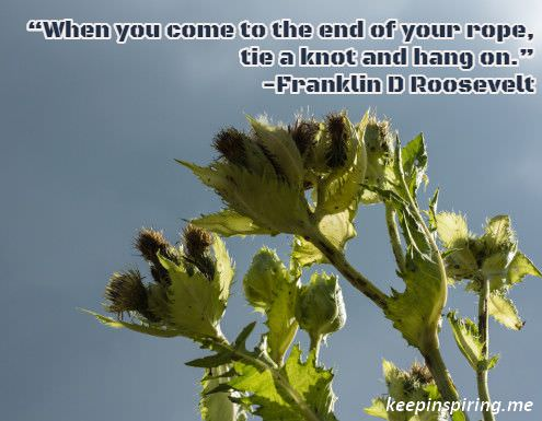 franklin_d_roosevelt_encouragement_quote sumo.ly/5is8 via <a href="/keepinspiringme/">Keep Inspiring Me</a>