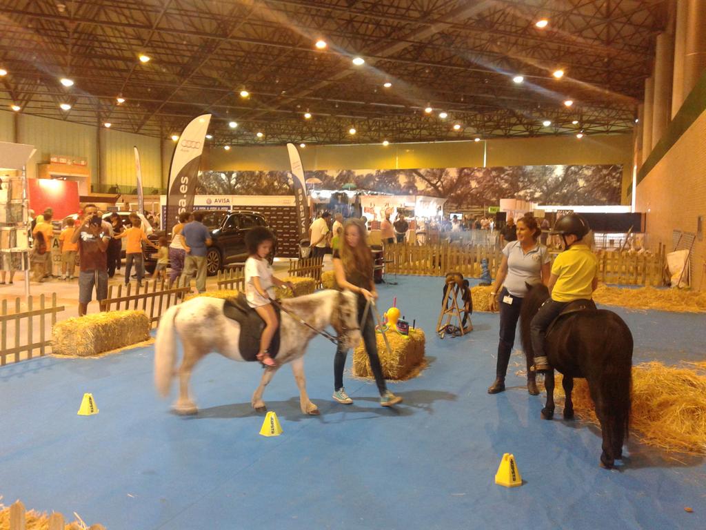 Clases de #equitación hacen las delicias de los peques en @SurcazaFeria <a href="/afcan_asociacio/">AFCAN</a>   Via <a href="/fibesevilla/">Fibes Sevilla</a>