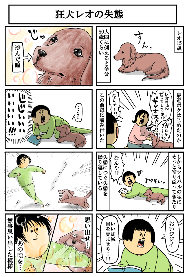 【悲報】狂犬、ボケる 