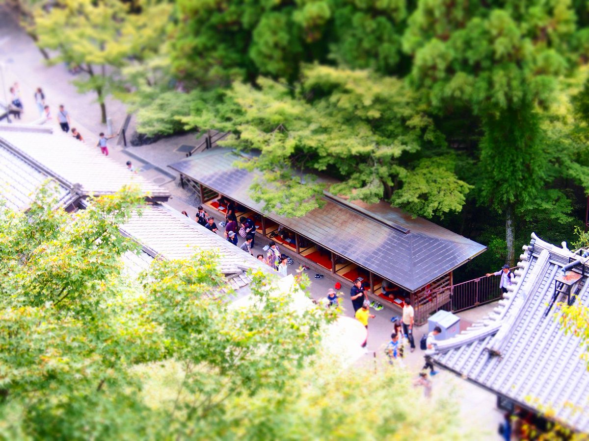216R's tweet photo. 清水寺
#チルトシフト #tilt_shift http://t.co/uKQLrc2abO