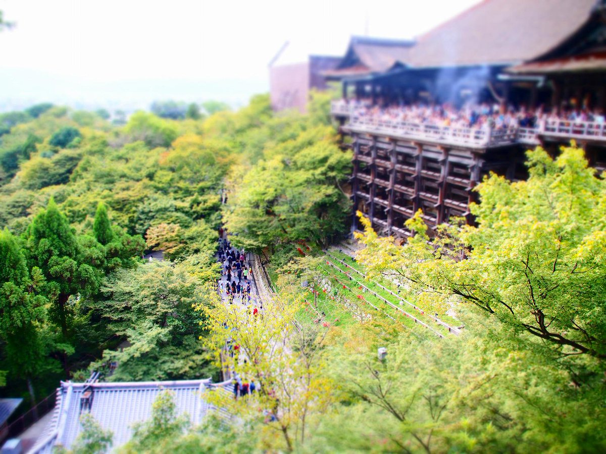 216R's tweet photo. 清水寺
#チルトシフト #tilt_shift http://t.co/uKQLrc2abO