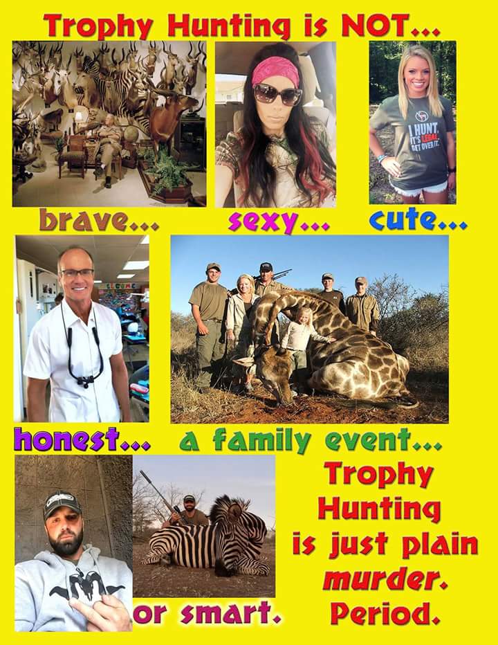 Capelli07042012's tweet photo. #cecilthelion #justiceforcecil #fuckwalterpalmer #bantrophyhunting #saveourwildlife #fuckthehunters http://t.co/bgEQld3lVa