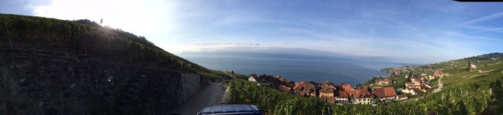 Vendanges chez la famille Hegg &amp; Fils à Epesses