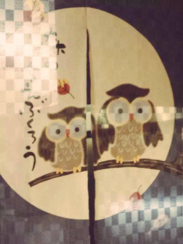 knaughtFTW's tweet photo. #disapprovingowls http://t.co/3Xkcr0shyx