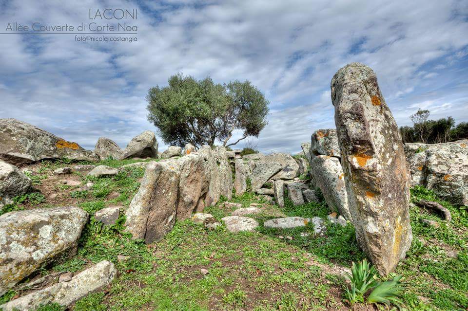 Museo Menhir (@menhirmuseum) on Twitter photo 
