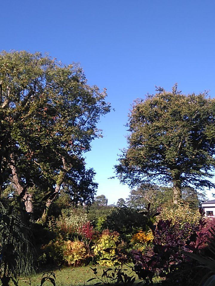 Narberth Food Festival on Twitter "Beautiful morning in Narberth