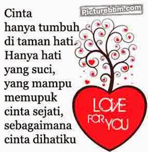 fara491 tweet picture