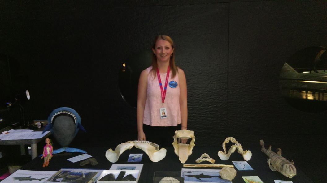 Emma_Bernard's tweet photo. Working at #SU2015 @NHM_London last night. Talking #sharks & about our #eMesozoic #digital project @Digital_Museums http://t.co/WUFlzDkvb7