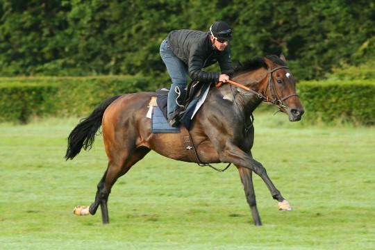 FollowTreve's tweet photo. JOYEUX ANNIVERSAIRE à mon Pascal ! Faites de ce jour un agréable souvenir pr Pascal, écrivez lui 1 petit mot ! © aprh http://t.co/zFjiu8gUOO