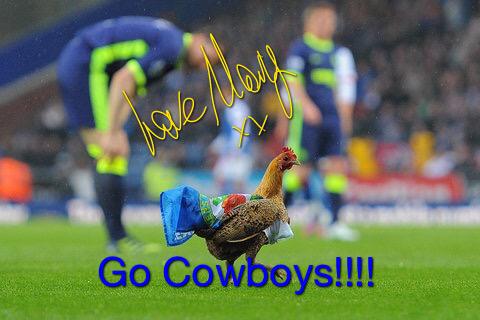 ChookThe tweet picture