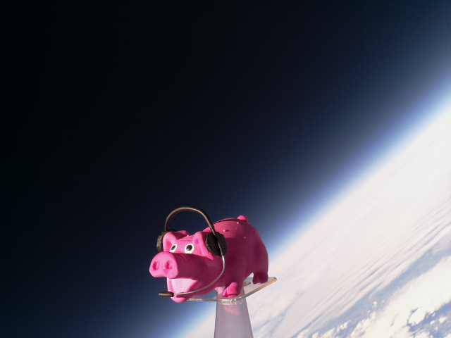 nerdsville's tweet image. Great day flying my second HAB at the National Hamfest, PINKY recovered after a quick trip into the stratosphere