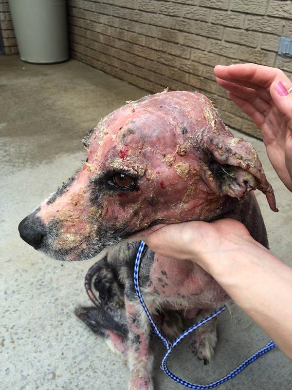 Filosofía♕ tweet media