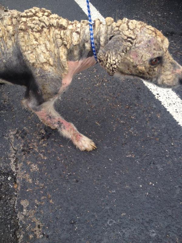 Filosofía♕ tweet media