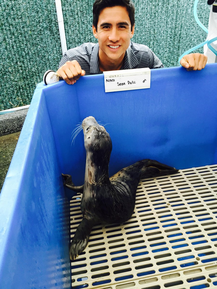 Visiting the #VARescue rescued seal pups! <a href="/SeanDukelow/">Sean Duke</a> meets Sean Duke!   ://bit.ly/1gXORfm