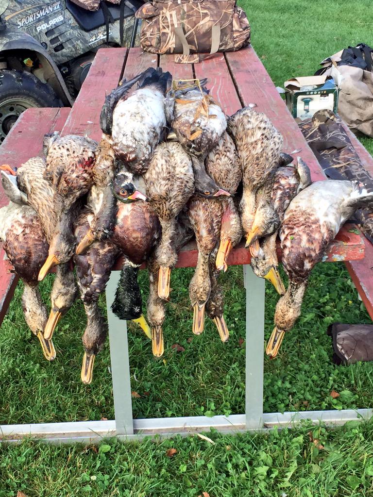 11vandy's tweet image. What an awesome opener       #Shootin Ducks and Stickin Bucks