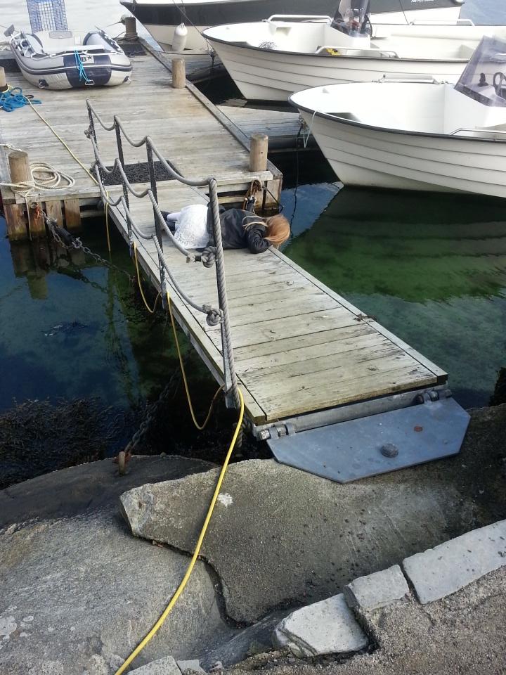 Jon Lien (@lien_jon) on Twitter photo 